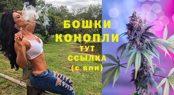 МДПВ Михайловск