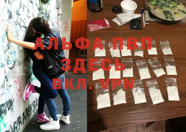 PSILOCYBIN Михайловка