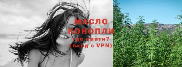 гашик Михайлов