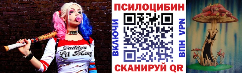 наркотики  Кемерово  Галлюциногенные грибы мицелий 